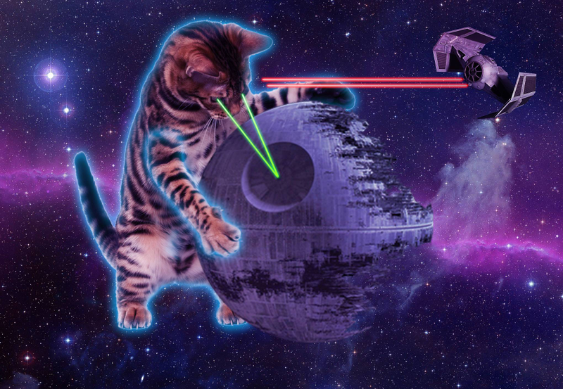 Illustration for article titled My God, It's Full Of Cats! The Very Best Artwork Of Cats In Space